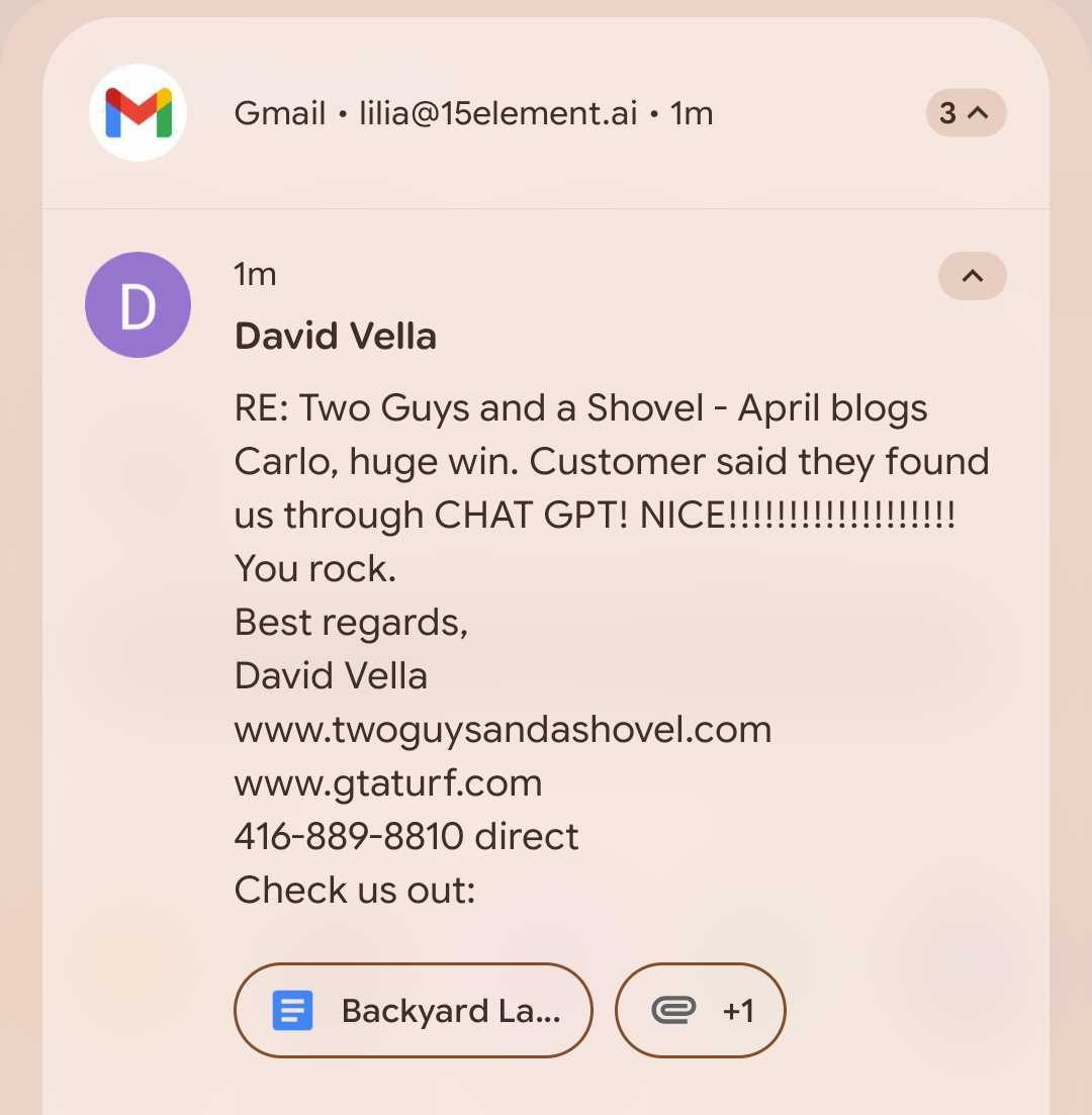 Two Guys and a Shovel — owner David Vella confirms a customer found the business through ChatGPT